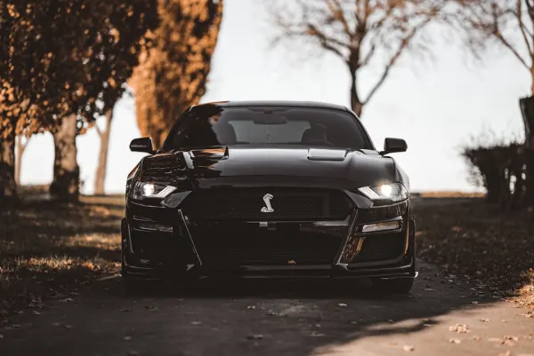 OG Kaszinó Android/iOS Alkalmazás